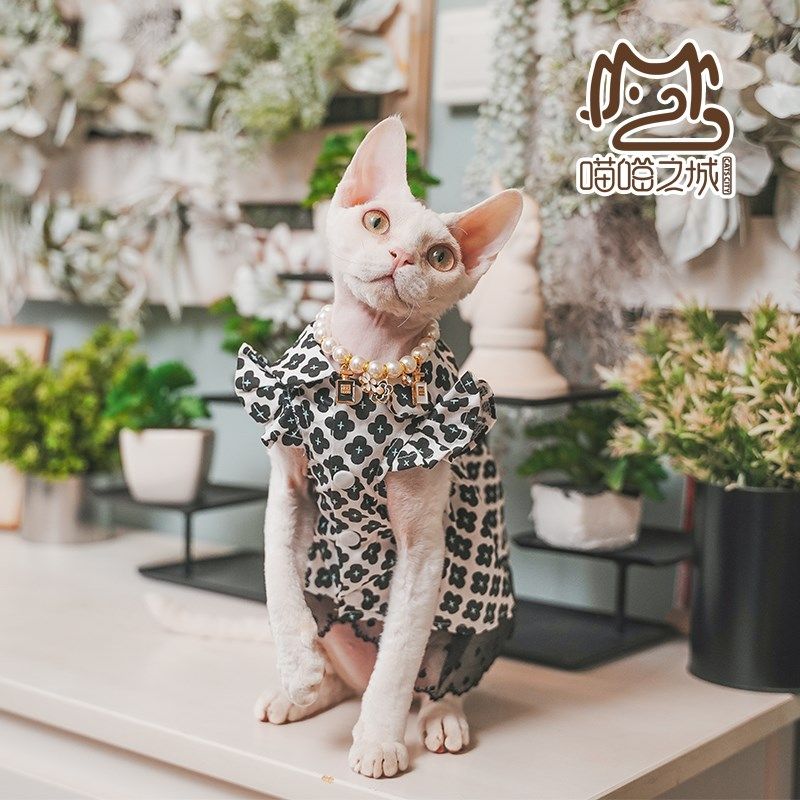 喵喵之城德文卷毛宠物猫咪夏季纯棉透气连衣裙黑色小花衬衫裙包邮,宠物/宠物食品及用品,猫宠物服装/雨衣（新）,淘宝优惠券,粉丝福利购,淘宝优惠卷