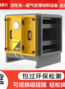 瑞喜力DGRH-CC-4K活性炭废气处理吸附设备工业除味过滤器处理设备