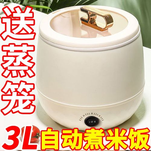 德国电饭煲家用多功能迷你蒸煮全自动电饭锅火R锅宿舍电煮锅烹饪
