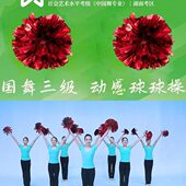 考级三级动感球球操道具花球运动会啦啦操手花开场舞花球演出道具