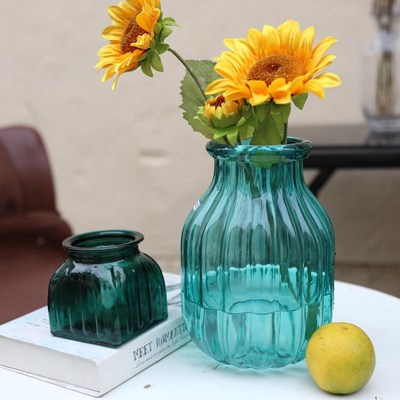 轻奢玻璃彩色g花瓶高级感水培客厅插花花器简约现代透明鲜花摆件