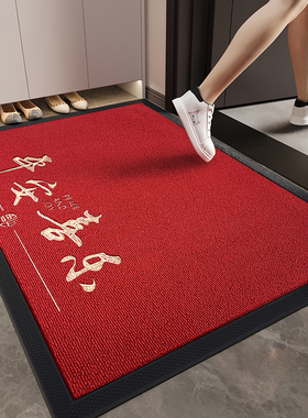 高端入户门地垫红色耐脏除尘大门口进门脚垫玄关防滑免洗地毯加厚