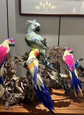 小鸟仿真羽毛鹦鹉家居装饰橱窗摆件高度60cm