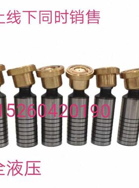 邵阳SY-25/40/63/80/160/250YCY14-1EL维克柱塞泵原厂柱塞滑靴9支