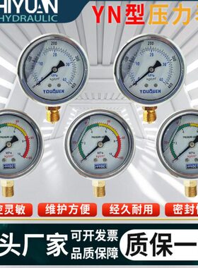 轴向带边耐震压力表 0-16/25/6/10/16/25/ 40MPA