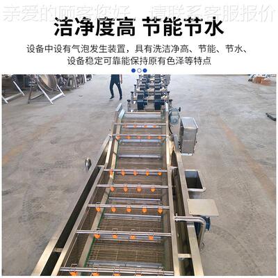 果蔬清洗机 水果备蔬菜清洗设 全自动大泡型商用连续叶类洗IVM气