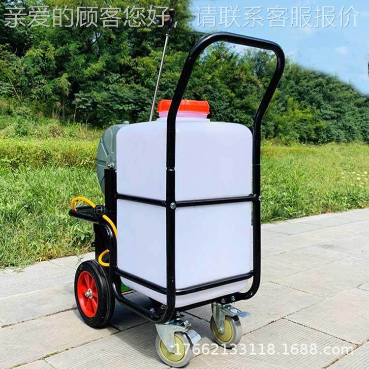 动机收管打药机 149机械 蔬殖自菜大棚杀虫喷雾 养场社区消毒机,农机/农具/农膜,植保机械,淘宝优惠券,粉丝福利购,淘宝优惠卷