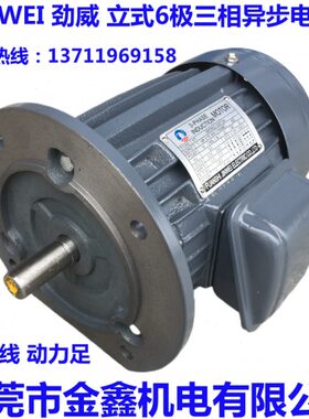 JIN WEI(劲威) LIXIANG(力象) 三相卧式电机0.37KW~15KW 6极 马达