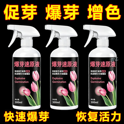 爆芽素原液植物通用催芽促分枝