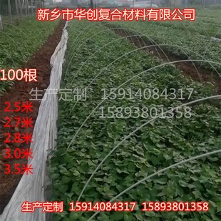 小拱棚支架 农用蔬菜暖棚花卉拱竿骨架拱竿育苗拱棚竿地拱塑料杆