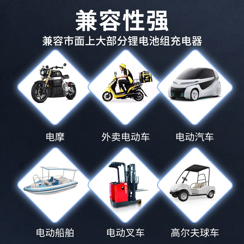 锂电池充电器大功率12v24v48v30A50A100N安三元锂磷酸铁锂电池叉