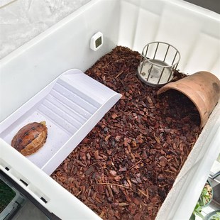 乌龟喂食器圆形不锈钢食盆半水龟食盘黄缘食台陆龟水盆爬宠迷你盆