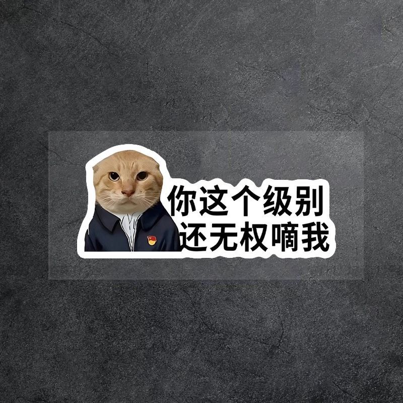 汽车贴纸你这个级别还无权嘀我猫咪表情个性胶贴车贴车身文字装饰