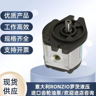 全新原装 齿轮泵02ZLG08A349R意大利罗茨03ZBG30L265R压力泵电动