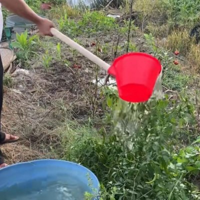 菜地浇水勺瓢施肥神器菜园子长柄的勺子塑料舀水瓢粪农用工具泼洒