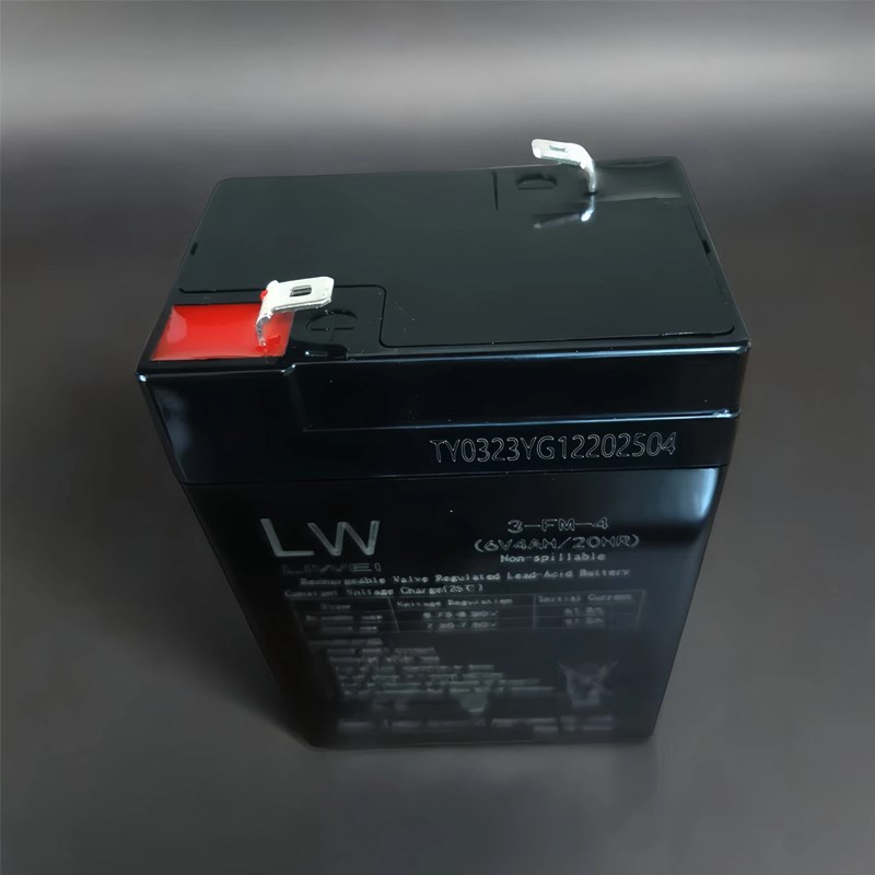 LW赛克达创耐儿童电动车电瓶3FM4三轮摩托玩具汽车12V6V4.5蓄电池
