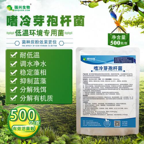 水产养殖生物菌嗜冷芽孢杆菌低温冬天环境专用菌种污水处理
