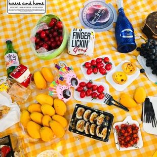 野餐垫户外防潮垫便携式折叠格子网红踏青拍照野餐布郊游草地垫子