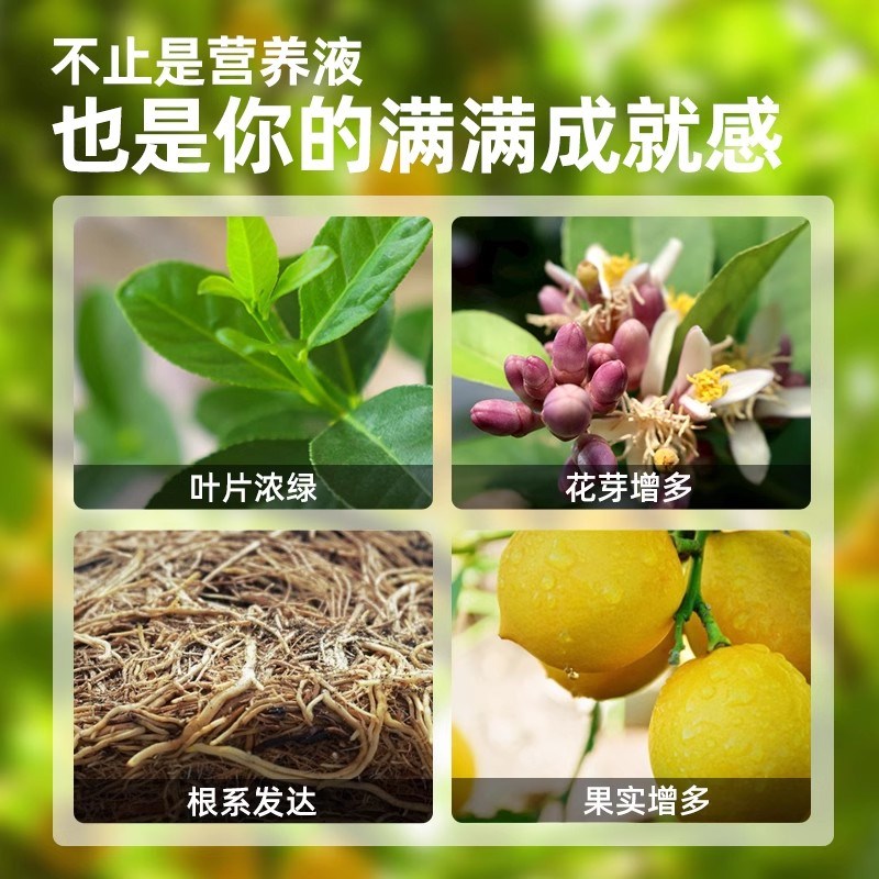 柠檬树营养液专用肥植物水培通用型室内盆栽绿植阳台庭院花卉肥料