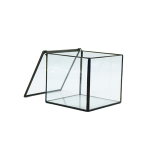 青苔苔藓容器闷养盆玻璃盆景微景观玻璃瓶微观生态瓶空瓶盒花盆缸