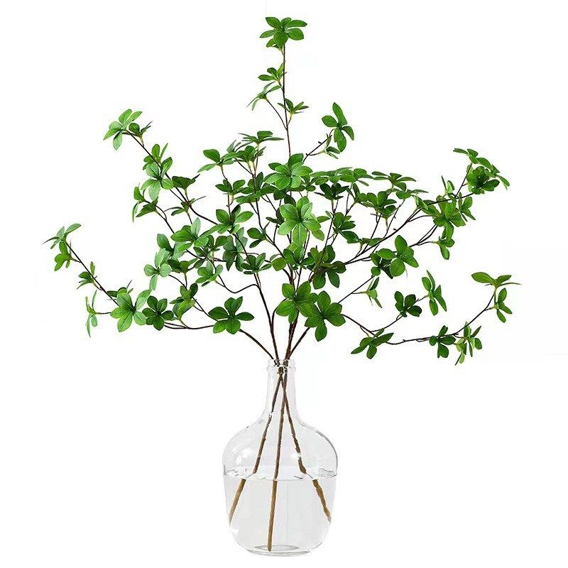 简约玻璃瓶小g口大肚花瓶马醉木吊钟插花客厅摆件水培装饰大号,橡塑材料及制品,玻璃容器/玻璃瓶,淘宝优惠券,粉丝福利购,淘宝优惠卷