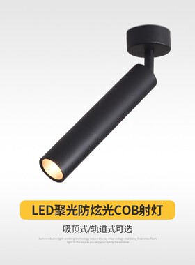 背景墙聚光防眩光小射灯餐厅餐吧1W3/5/7瓦led轨道灯15/25/40度角