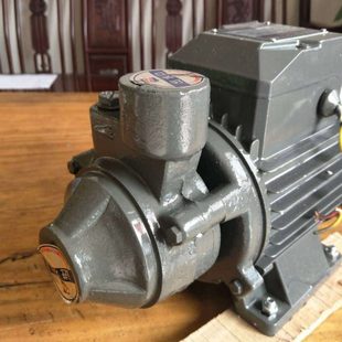 蒸汽发生器配件家用旋涡泵 750W锅炉补水泵 750W压水泵多级泵