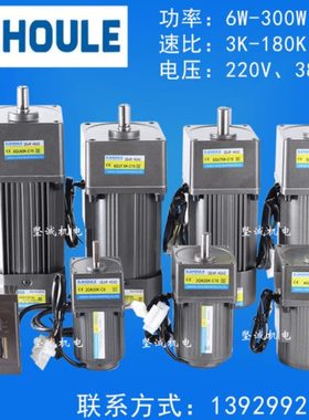 HOULE豪力小型齿轮减速电机6W-400W交流220v/380v正反转调速马达
