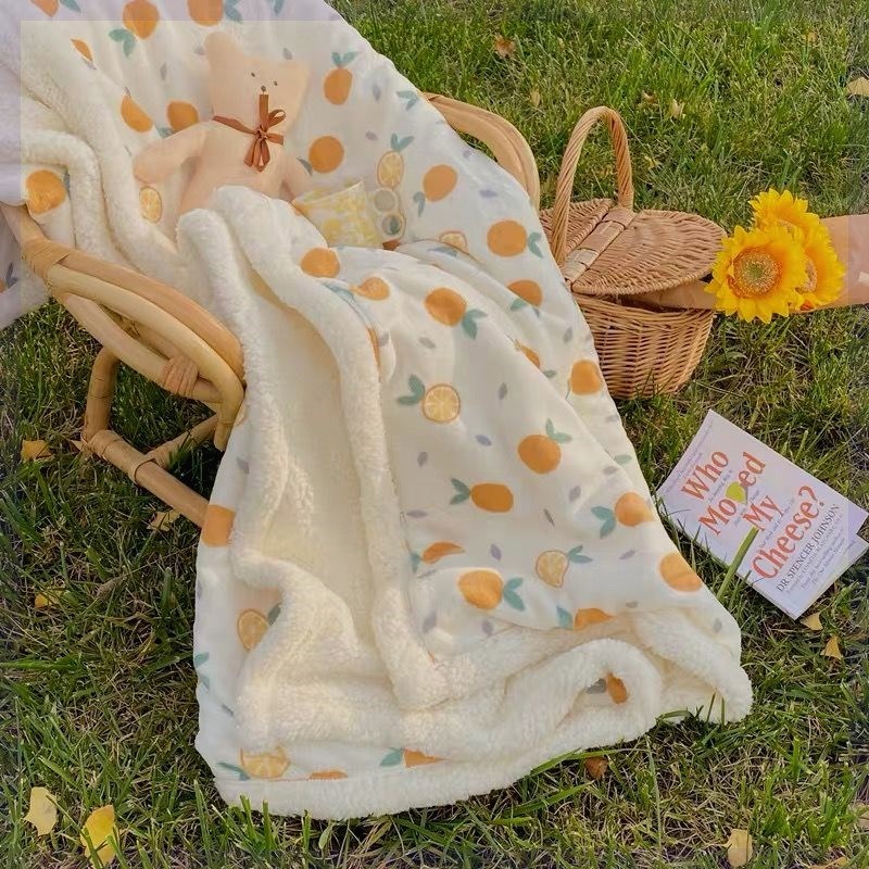 双层加厚羊羔绒毛毯可做被套小清新午休毯秋冬保暖汽车多功能盖毯