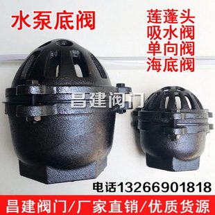 抽水泵底阀 内螺纹丝扣吸水阀 铸铁止回阀DN25 40 50 65 80 100