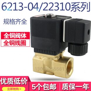 4分室外防水 防雾电磁阀 2分6213-04 JT2231015 6分 1寸 220V 24V