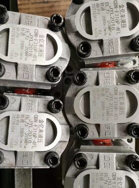 齿轮泵 CBN-F306P CBN-F310P CBN-F314P CBN-F316P CBN-F320P 25P