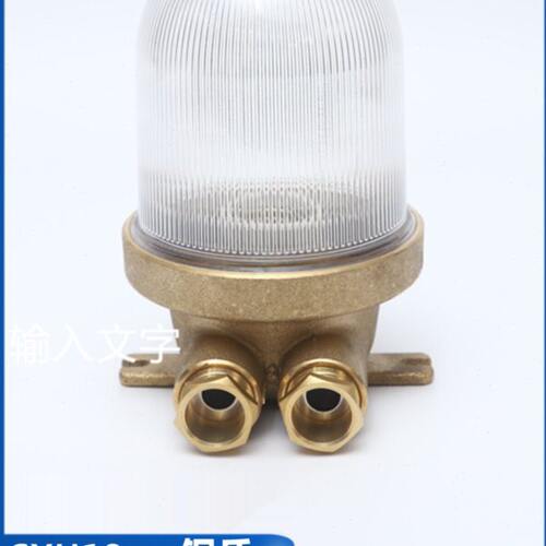 船用CCD9-8-2铜质防水舱顶灯航行灯信号灯CXH19-S透明红绿220V60W
