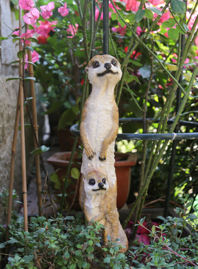 花园装饰 庭院摆件布置户外园艺装饰品创意仿真动物猫鼬狐獴摆件