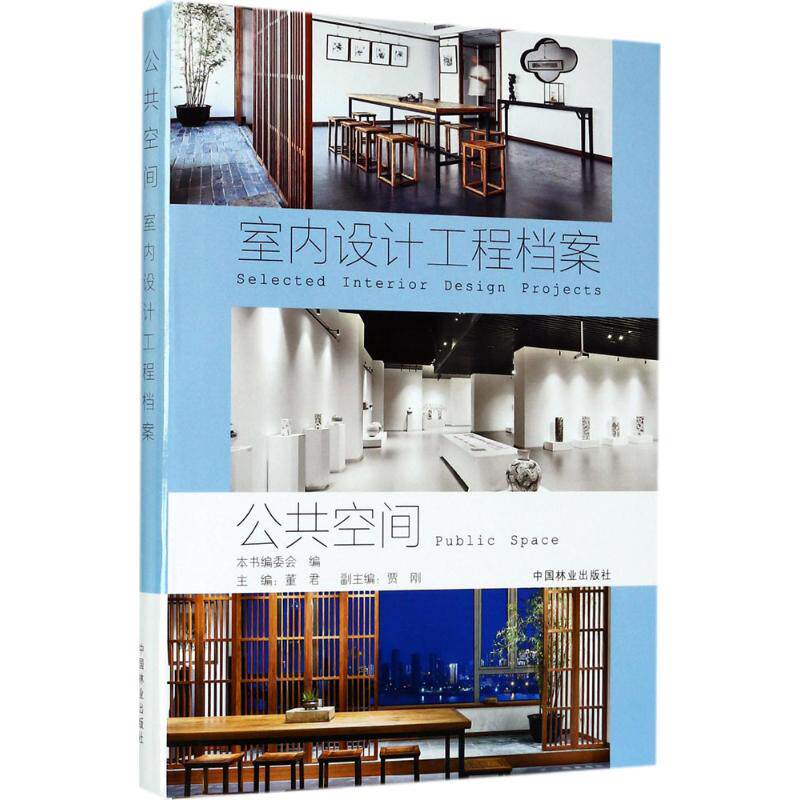 公共空间(精)/室内设计工程档案 中国林业出版社 《室内设计工程档案》编写委员会 编 建筑/水利(新)