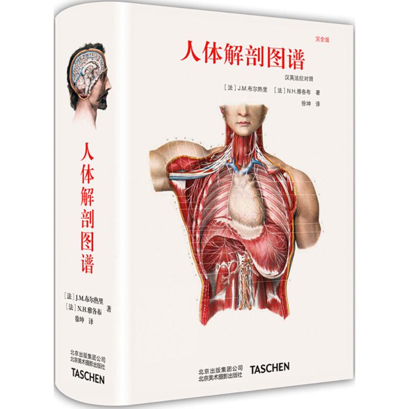 人体解剖图谱 北京美术摄影出版社 (法)J.M.布尔热里,(法)N.H.雅各布 著;徐坤 译 艺术理论(新)