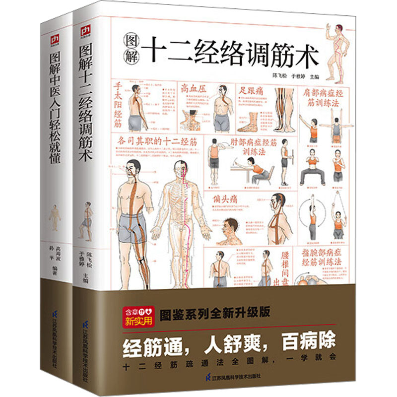 图解中医入门轻松就懂+图解十二经络调筋术套装(全2册) 江苏凤凰科学技术出版社 陈飞松,于雅婷 等 编 家庭医生