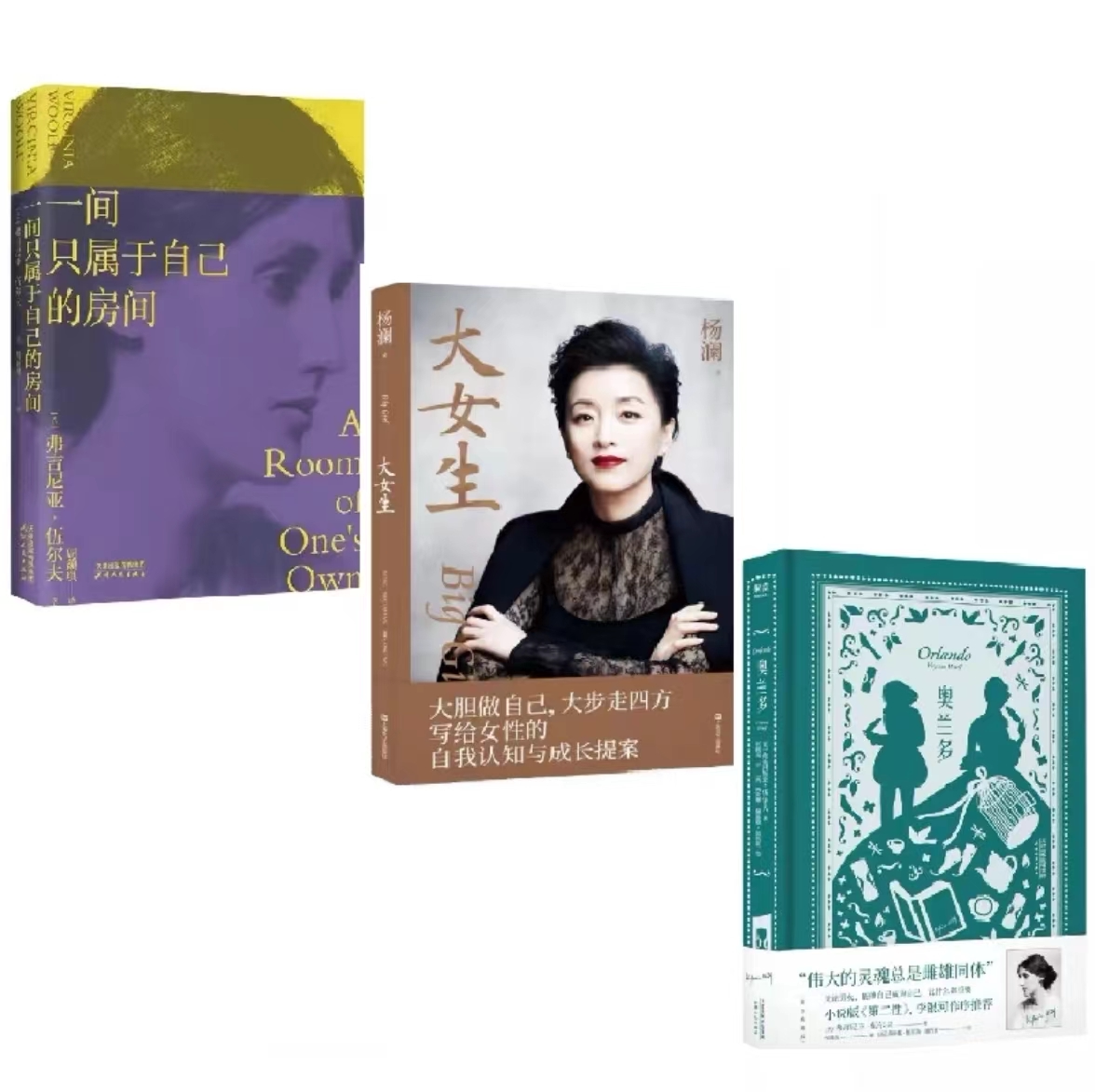 一间只属于自己的房间+大女生+奥兰多 天津人民出版社等 (英)弗吉尼亚·伍尔夫 著 周颖琪 译等 外国小说