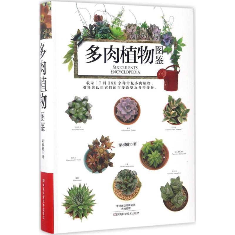 多肉植物图鉴 河南科学技术出版社 梁群健 著 都市手工艺书籍