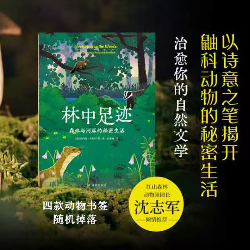 林中足迹 森林与河岸的秘密生活 译林出版社