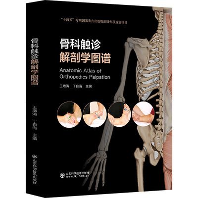 骨科触诊解剖学图谱 山东科学技术出版社 王增涛,丁自海主编 著 王增涛,丁自海 编 外科学