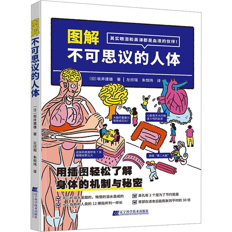 图解不可思议的人体 辽宁科学技术出版社 (日)坂井建雄 著 左欣瑶,朱悦玮 译 医学其它图片