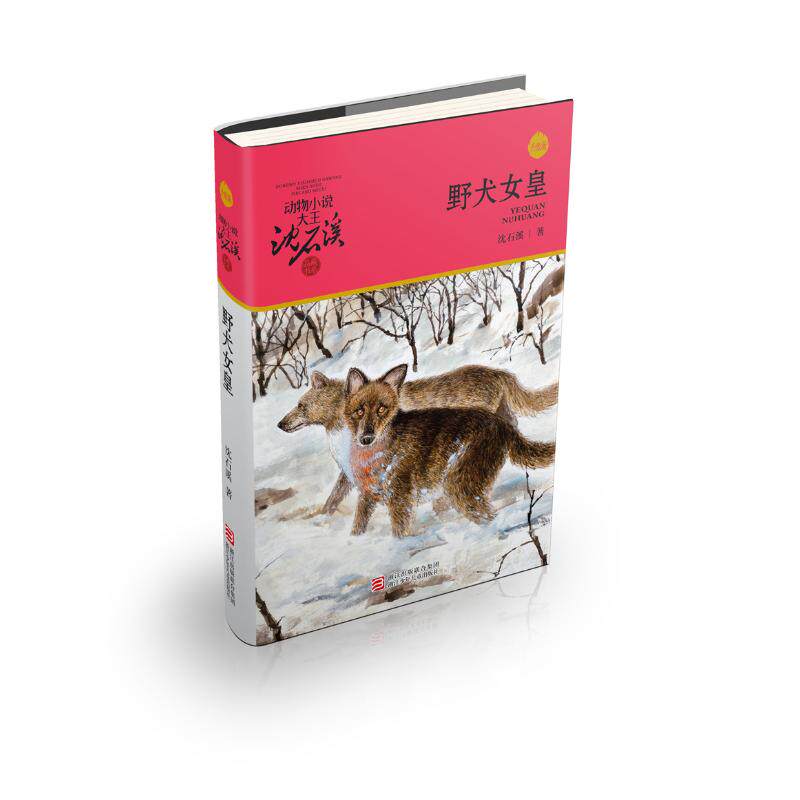 野犬女皇/动物小说大王沈石溪品藏书系(升级版) 浙江少年儿童出版社 沈石溪 著 儿童文学图片