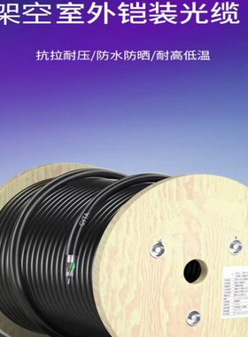 单模铠装光纤光缆GYTA/S-12B1.3架空管道直埋各芯数可定制包邮