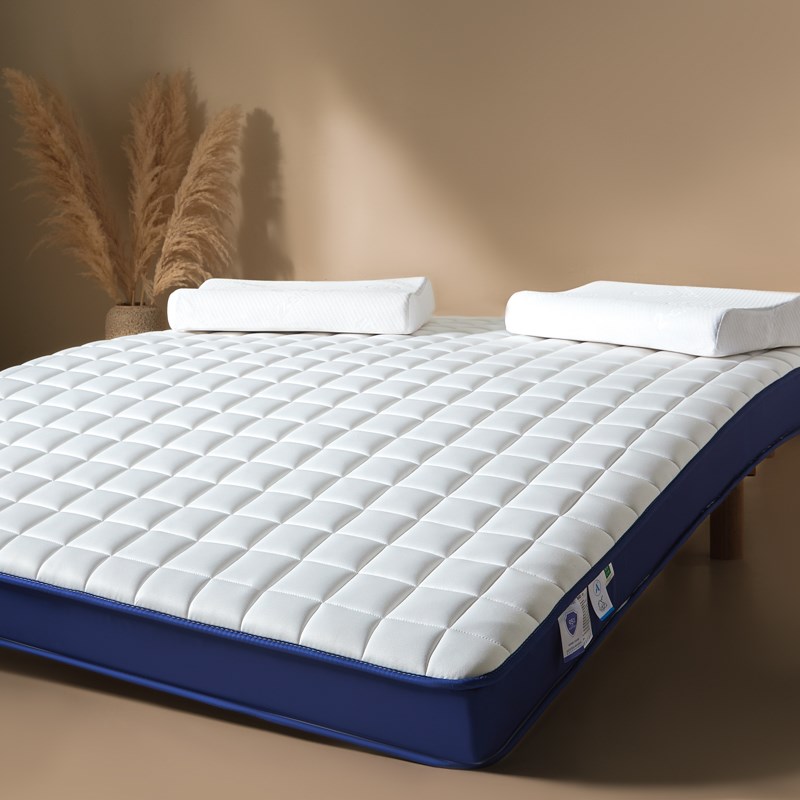 乳胶记忆棉榻榻米床垫软垫子180x200家用卧室租房专用海绵床褥垫