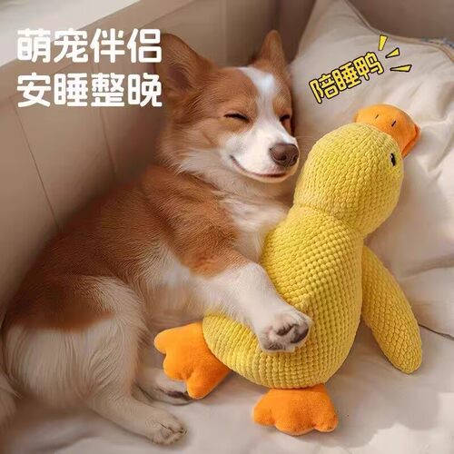 狗狗玩具宠物耐咬自嗨解闷发声神器柯基小狗犬毛绒小黄鸭磨牙用品