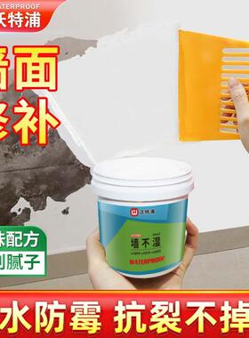 沃特浦补墙膏墙面修补白色防水防潮防霉墙面修补膏大面积墙体修复
