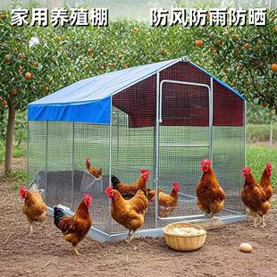 户外大型鸡棚特大号家禽鸡笼鸡窝孔雀防雨鸡舍搭建钢管家用养殖