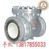 125 PH44TC陶瓷耐磨排渣止回阀 100 400 DN65