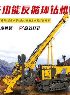 ZJ-RC300反循环钻机 履带式钻机可钻水井取样土壤勘探反循环钻机
